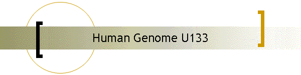 Human Genome U133